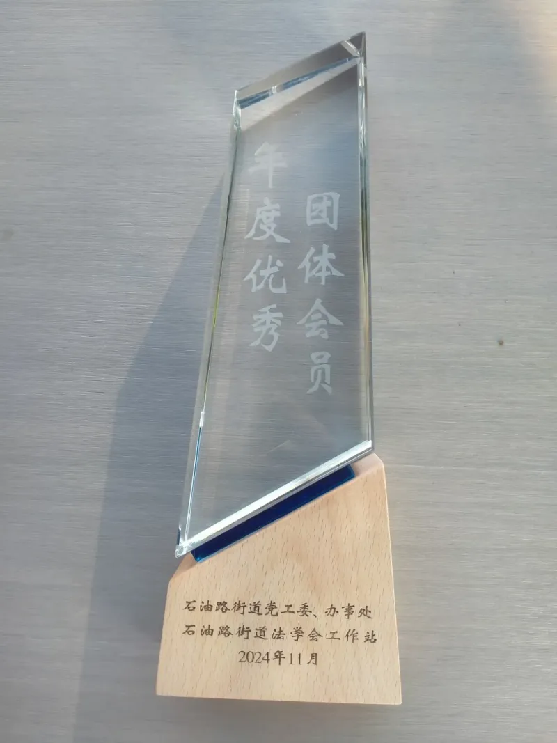 渝中区石油路法学会优秀团体.webp