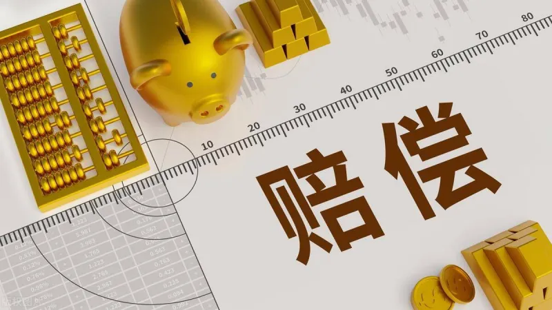 赔偿.webp