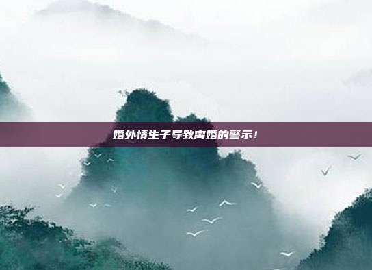 婚外情生子导致离婚的警示!