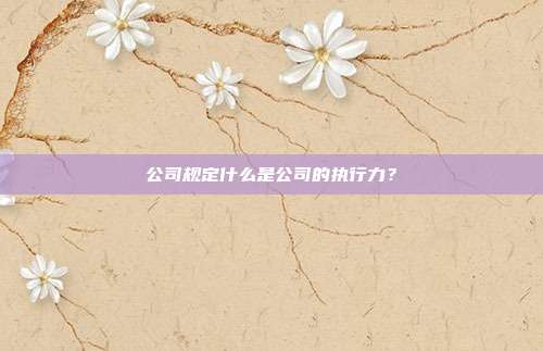 公司规定什么是公司的执行力?