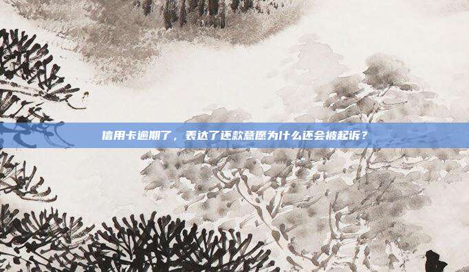 信用卡逾期了,表达了还款意愿为什么还会被起诉?