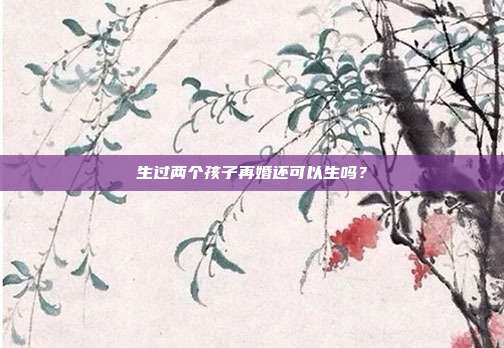 生过两个孩子再婚还可以生吗?