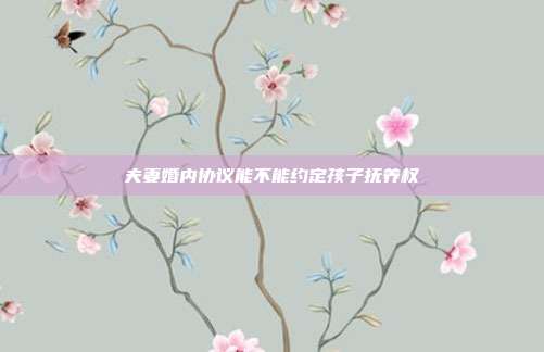 夫妻婚内协议能不能约定孩子抚养权