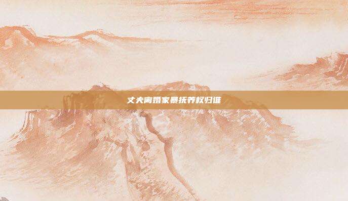 丈夫离婚家暴抚养权归谁