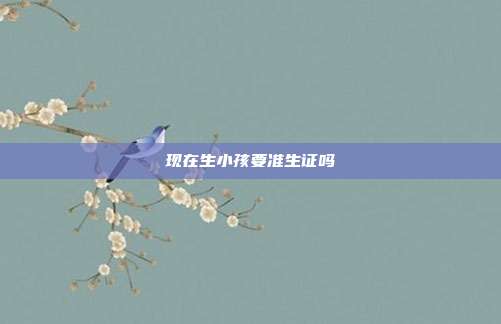 现在生小孩要准生证吗