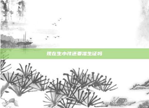 现在生小孩还要准生证吗