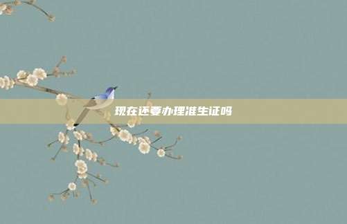 现在还要办理准生证吗
