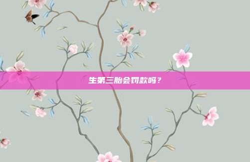 生第三胎会罚款吗?