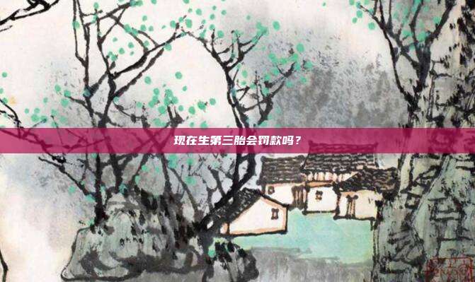 现在生第三胎会罚款吗?