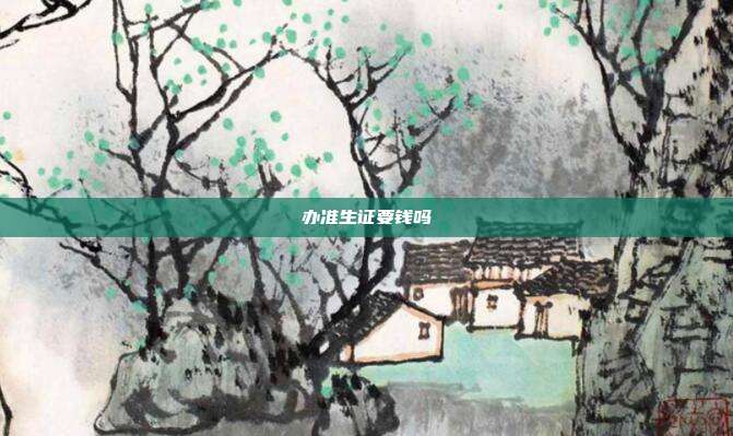 办准生证要钱吗