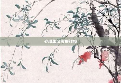 办准生证需要钱吗