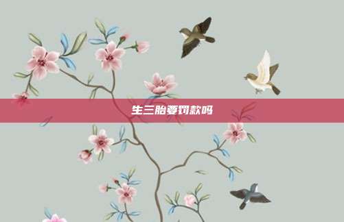 生三胎要罚款吗