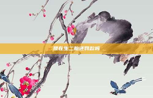 现在生二胎还罚款吗