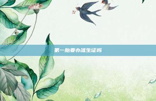 第一胎要办准生证吗