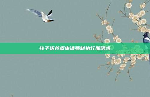 孩子抚养权申请强制执行期限吗