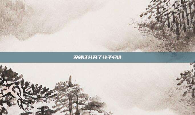 没领证分开了孩子归谁