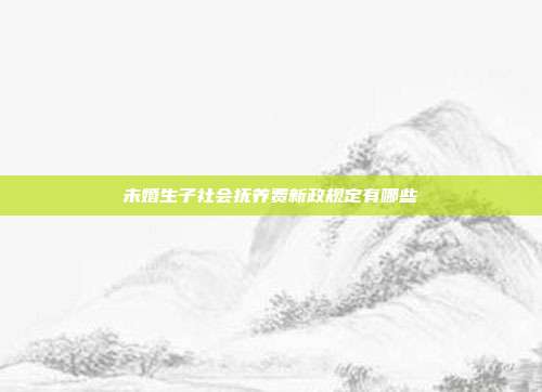未婚生子社会抚养费新政规定有哪些