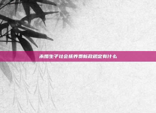 未婚生子社会抚养费新政规定有什么