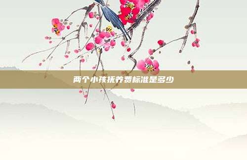 两个小孩抚养费标准是多少