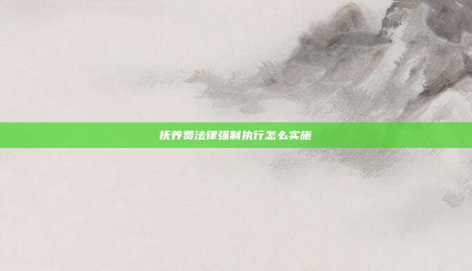 抚养费法律强制执行怎么实施