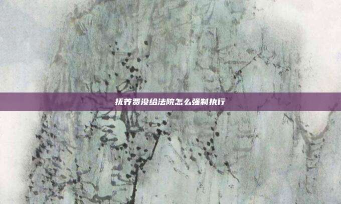 抚养费没给法院怎么强制执行