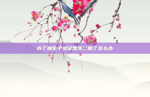 办了独生子女证想生二胎了怎么办