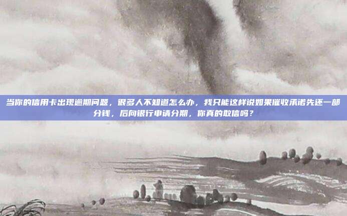 当你的信用卡出现逾期问题,很多人不知道怎么办,我只能这样说如果催收承诺先还一部分钱,后向银行申请分期,你真的敢信吗?