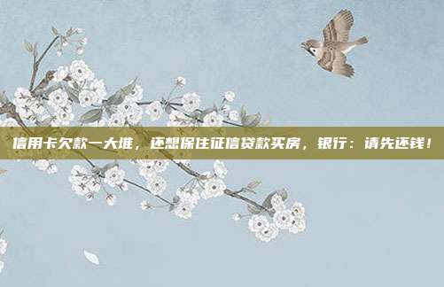 信用卡欠款一大堆,还想保住征信贷款买房,银行:请先还钱!