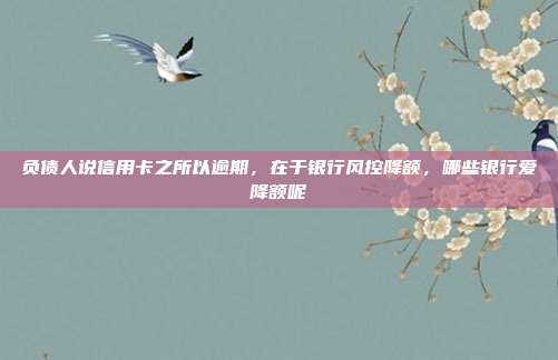 负债人说信用卡之所以逾期,在于银行风控降额,哪些银行爱降额呢