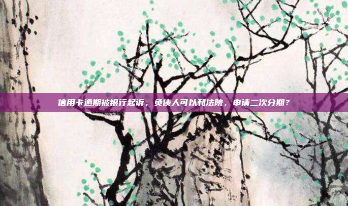 信用卡逾期被银行起诉,负债人可以和法院,申请二次分期?