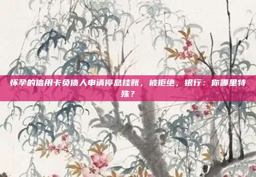 怀孕的信用卡负债人申请停息挂账,被拒绝,银行:你哪里特殊?