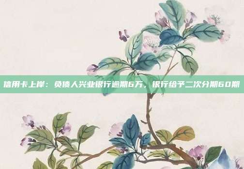 信用卡上岸:负债人兴业银行逾期6万,银行给予二次分期60期