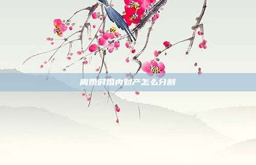 离婚时婚内财产怎么分割