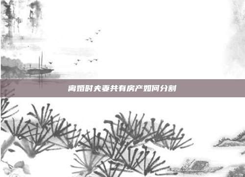 离婚时夫妻共有房产如何分割