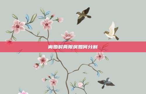 离婚时两限房如何分割