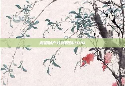离婚财产分割原则2014
