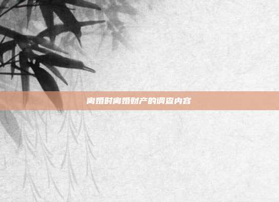 离婚时离婚财产的调查内容