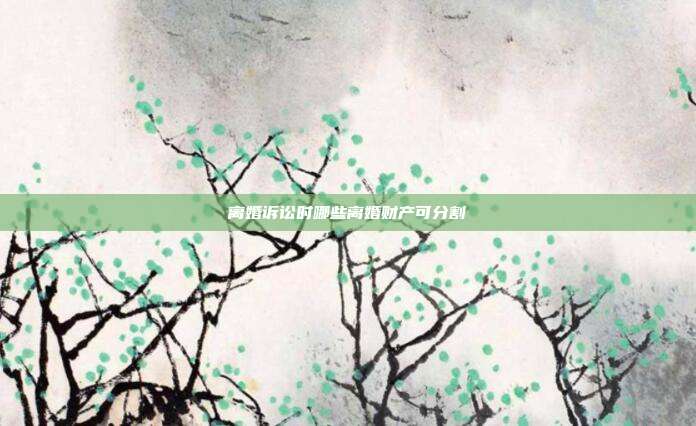 离婚诉讼时哪些离婚财产可分割