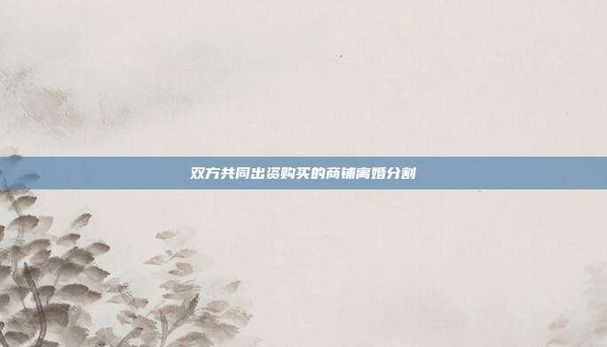 双方共同出资购买的商铺离婚分割
