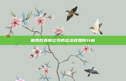 离婚后有限公司的出资额如何分割