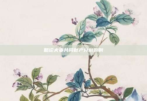 略论夫妻共同财产分割原则