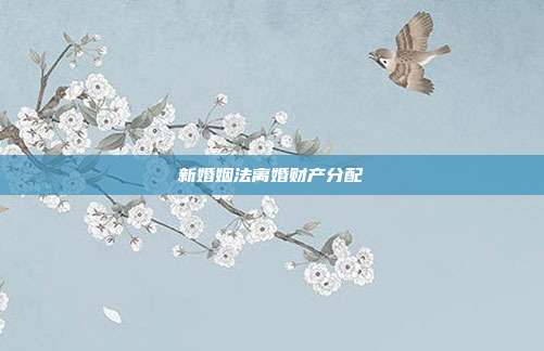 新婚姻法离婚财产分配