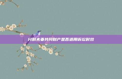 分割夫妻共同财产是否适用诉讼时效