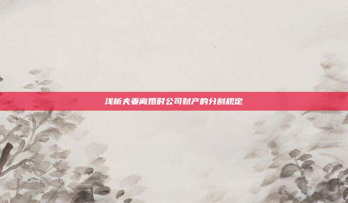 浅析夫妻离婚时公司财产的分割规定
