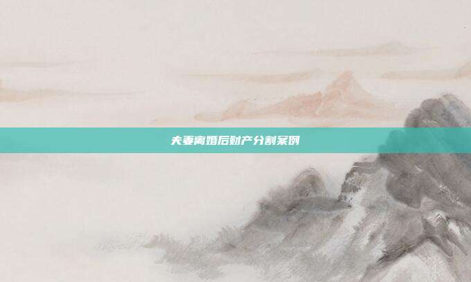 夫妻离婚后财产分割案例