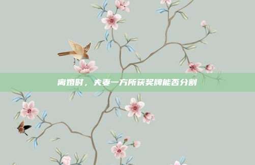 离婚时,夫妻一方所获奖牌能否分割