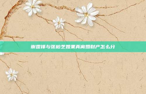 谢霆锋与张柏芝如果真离婚财产怎么分