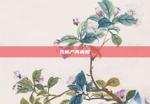 先析产再离婚