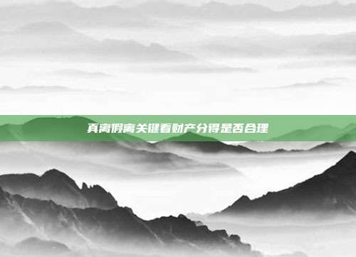 真离假离关键看财产分得是否合理