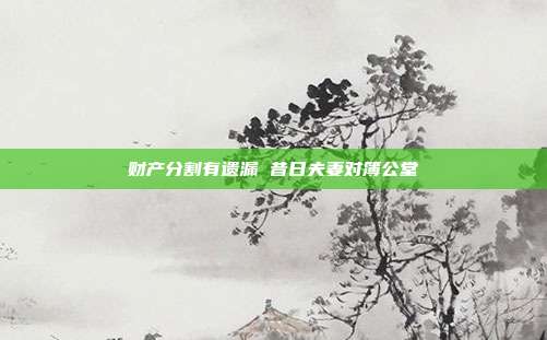 财产分割有遗漏 昔日夫妻对簿公堂